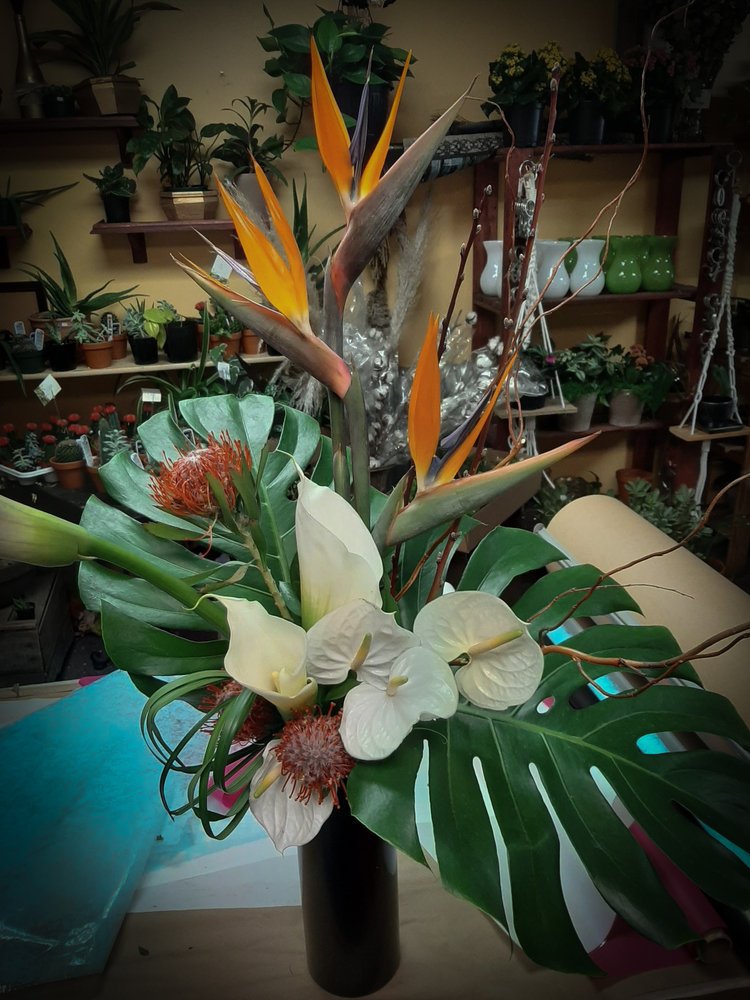 Arrangement tropical