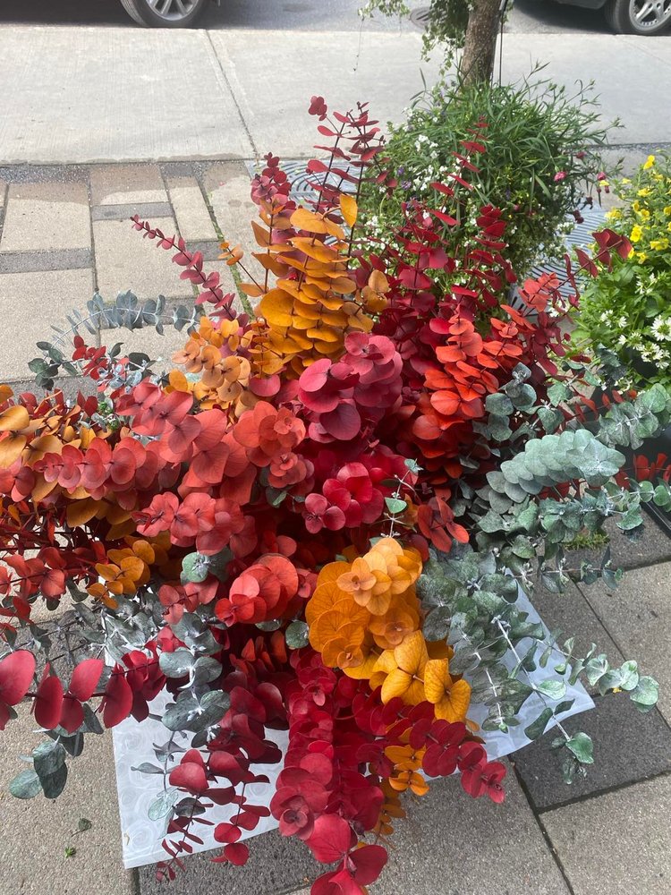 Bouquet d'eucalyptus teint