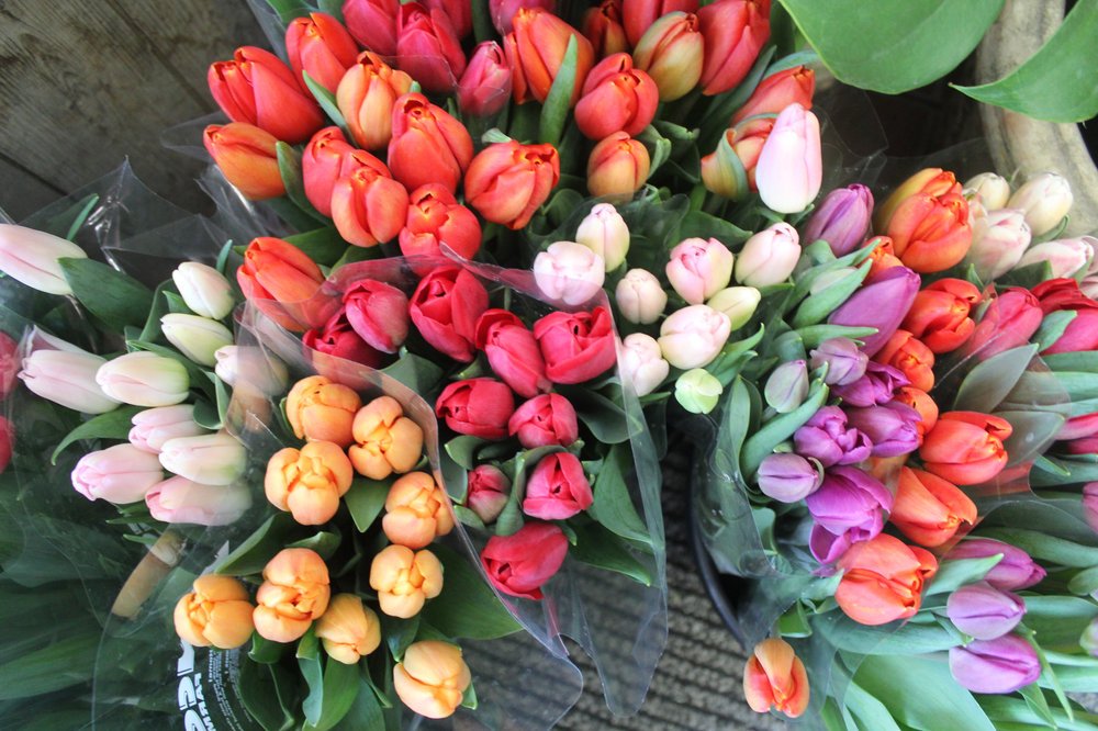 Bouquet de 20 tulipes