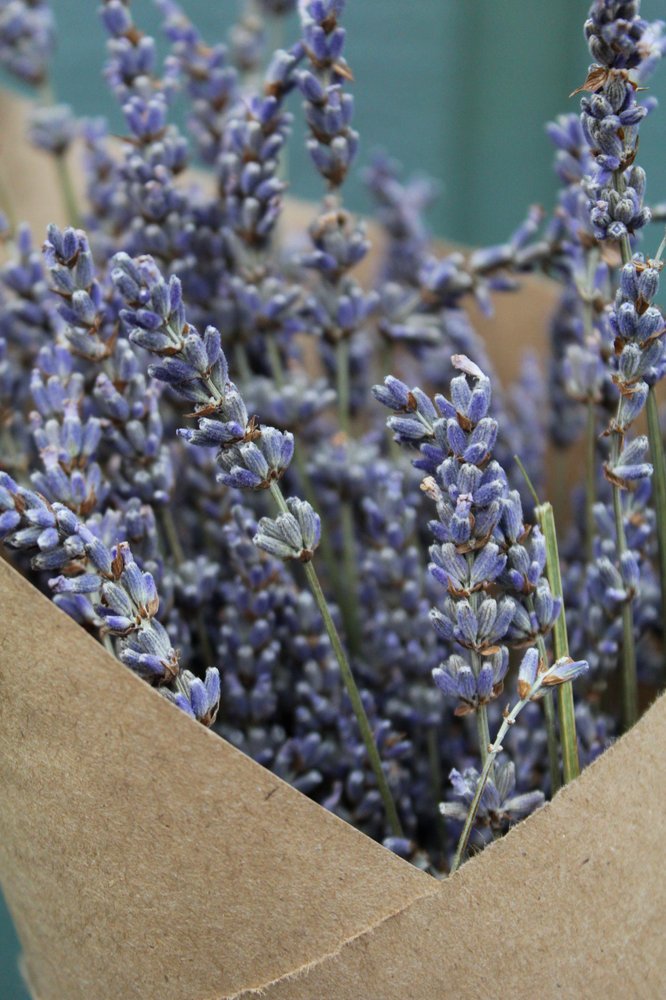 Bouquet de lavande séchée