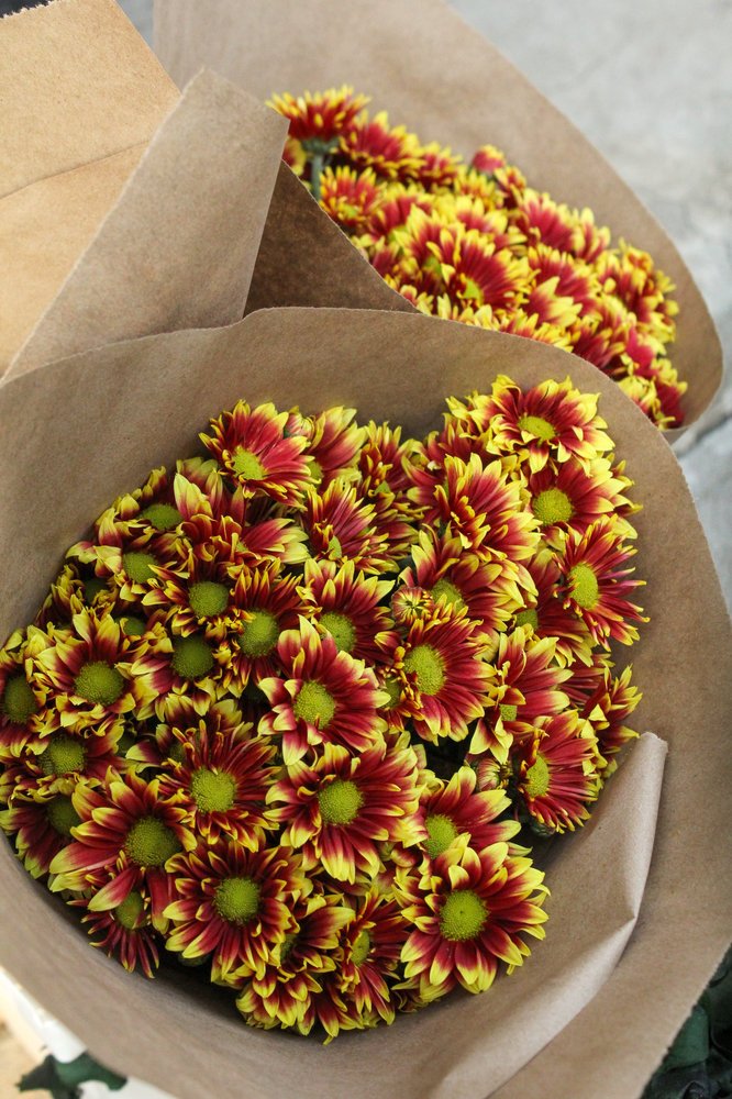 Bouquet de marguerites