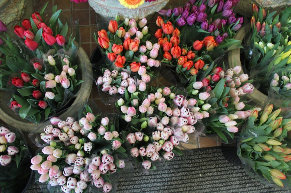 Bouquet de 30 tulipes