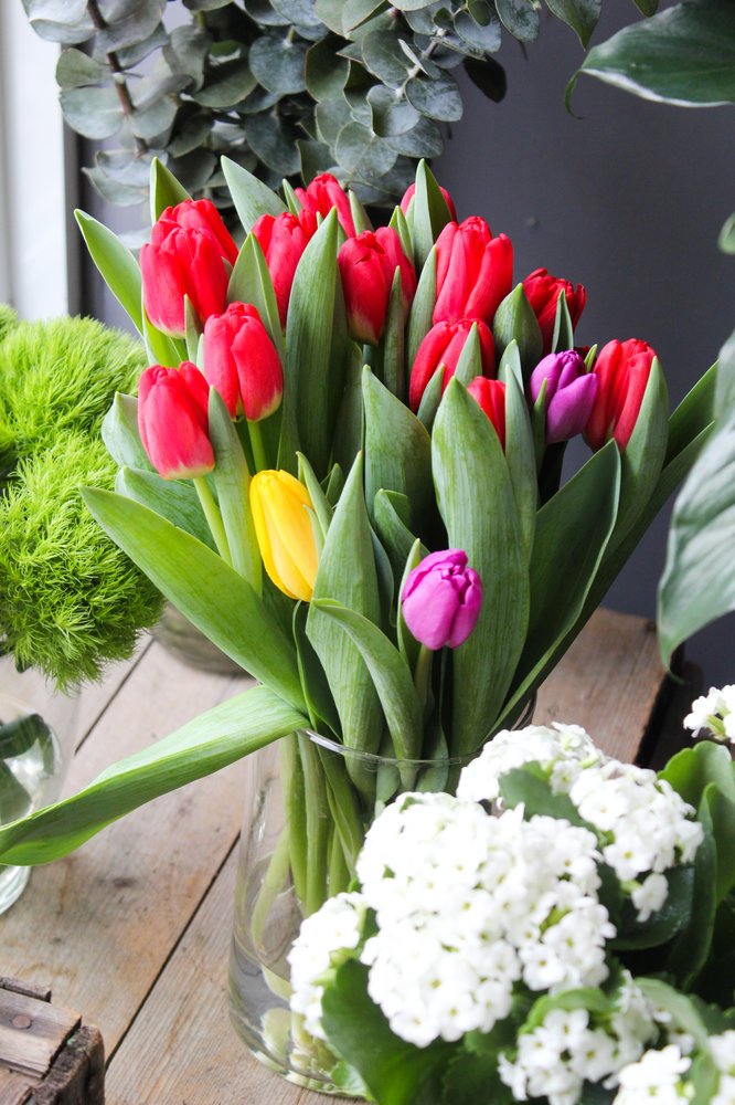 Bouquet de 10 tulipes