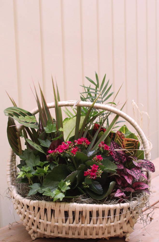 Panier Delaware 14'L