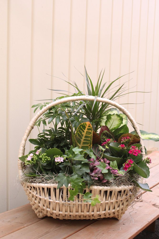 Panier Delaware 16'L