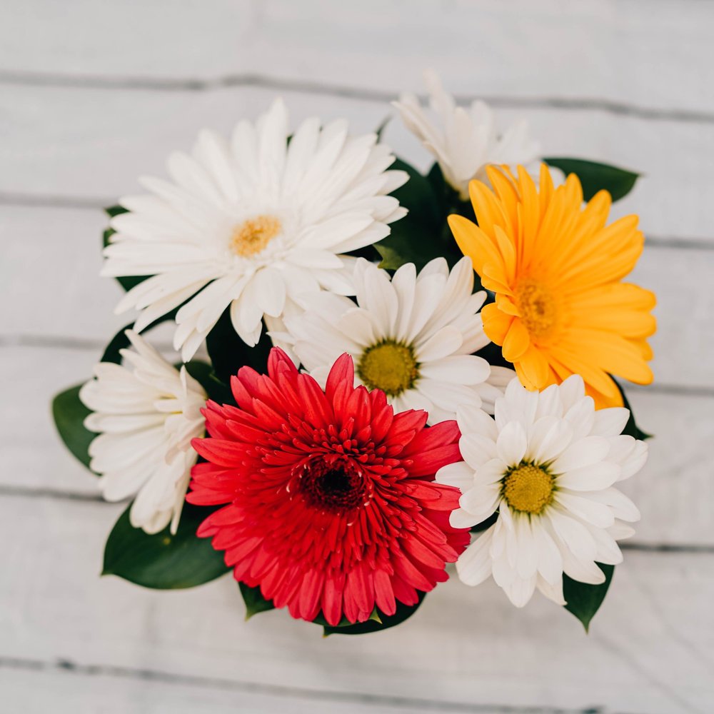 Pot métallique de fleurs coupées