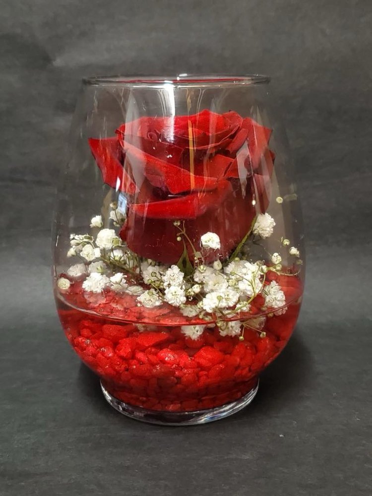 Rose dans verre