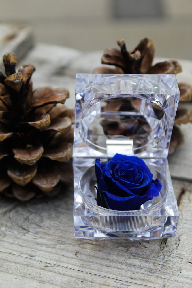 Rose éternelle (petite)