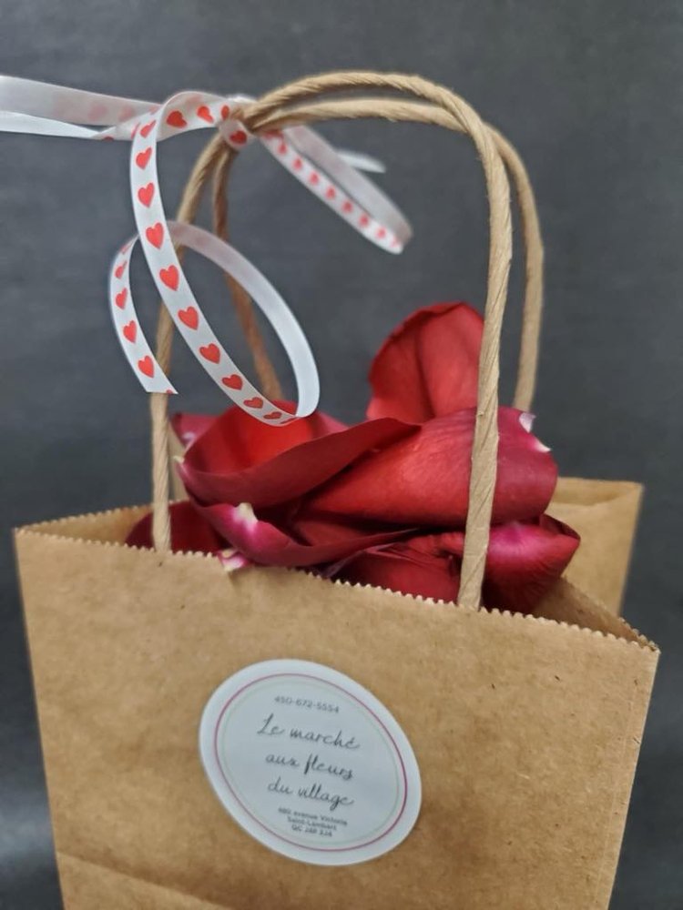 Sac de pétales de roses (grand)