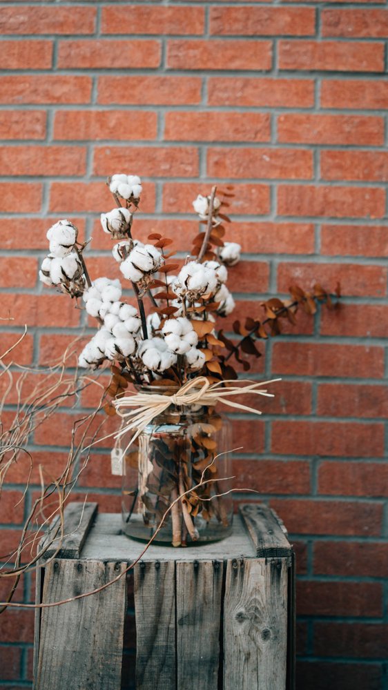 Tige de cotton
