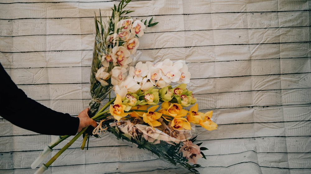 Tige Orchidée Cymbidium